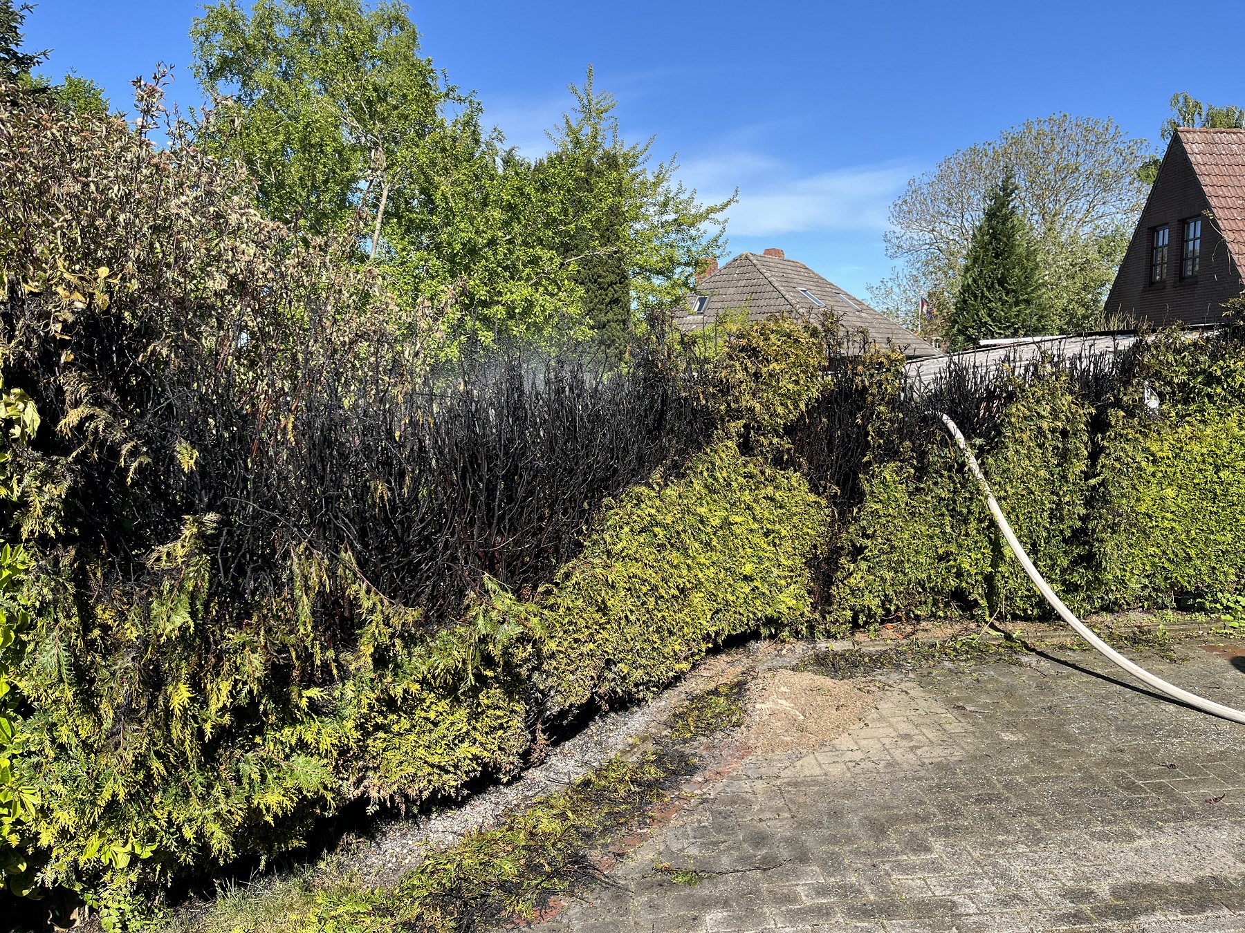 Mehr über den Artikel erfahren Thujahecke gerät während Abflammarbeiten in Brand – Visquard
